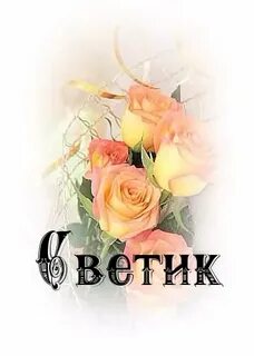 Светик цветочек сейчас