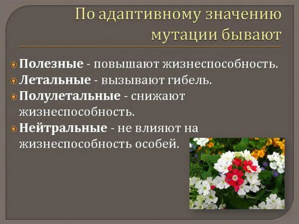 Виды мутаций нейтральные. Положительные мутации примеры. Полезные и вредные мутации примеры. Классификация мутаций по полезности. Положительные мутации.