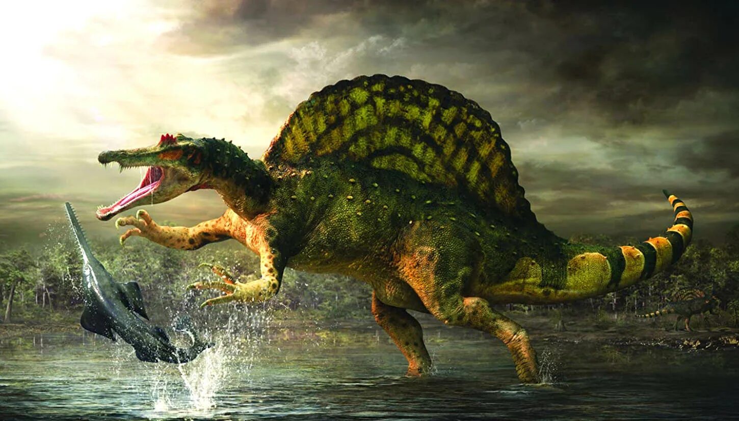 Динозавр живущий в воде. Спинозавр Планета динозавров. Спинозавр динозавры мелового периода. Спинозавр bbc. Спинозавр палеоарт.