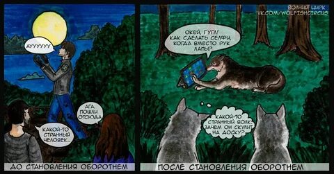 Читать рассказ про оборотня