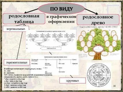Генеалогический текст это