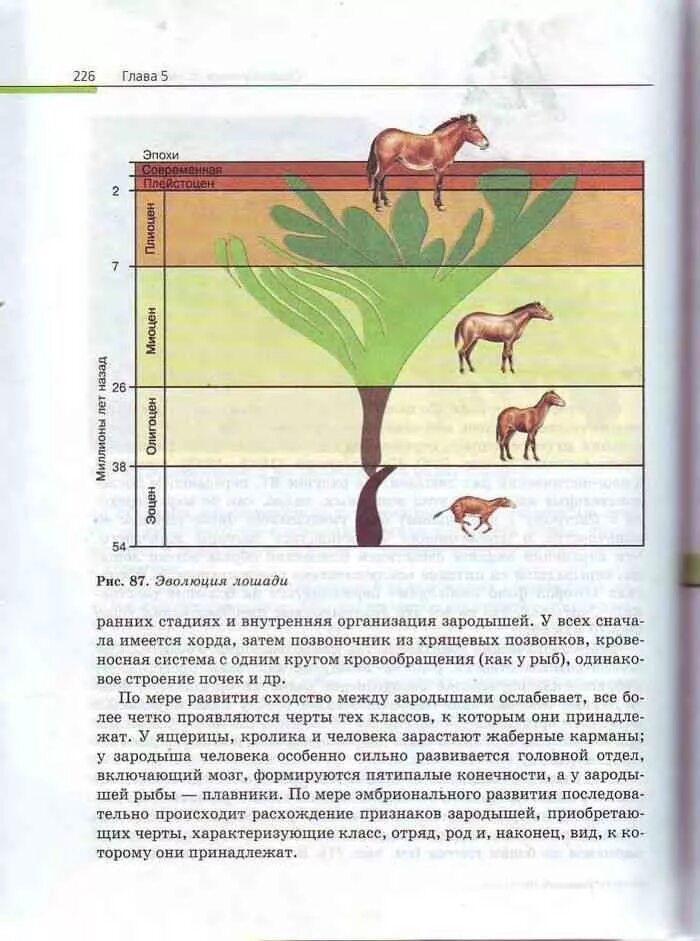 Биология 10 класс пасечник базовый уровень читать. Биология 11 класс пасечник. учебник биология 11 кл пасечник. учебник по биологии за 10 класс пасечник. биология. 11 класс. учебник..