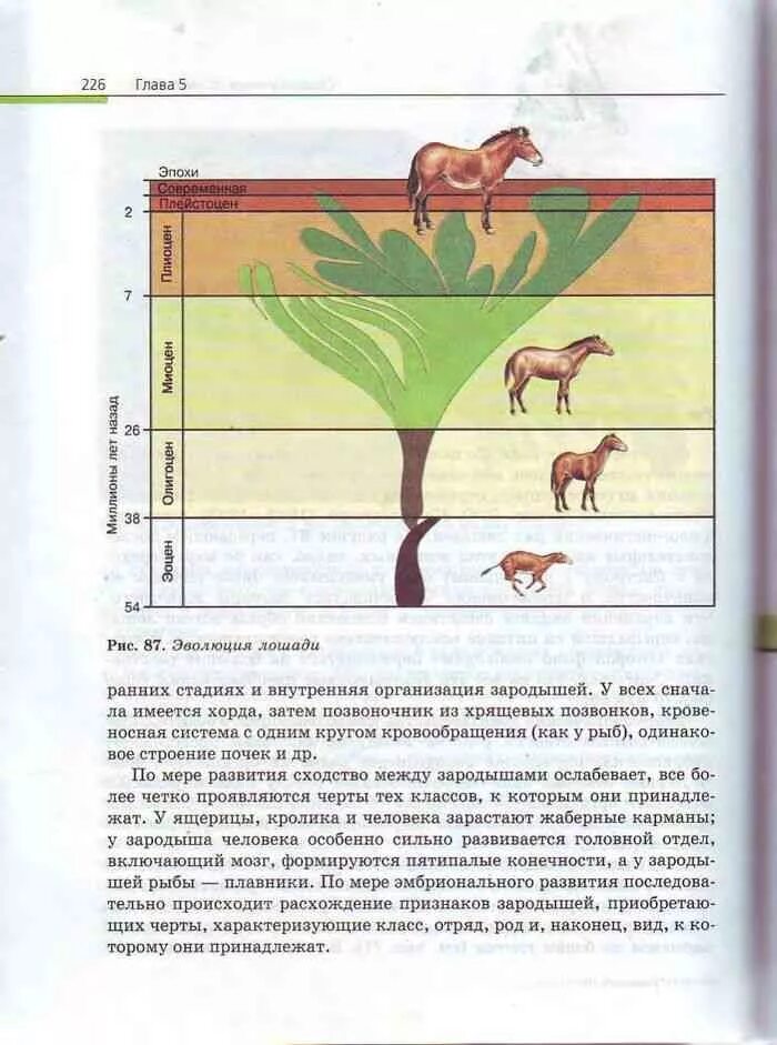 Биология 11 класс Пасечник. Учебник биология 11 кл Пасечник. Учебник по биологии за 10 класс Пасечник. Биология. 11 Класс. Учебник..