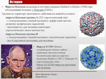 Вирус коксаки какие анализы сдать