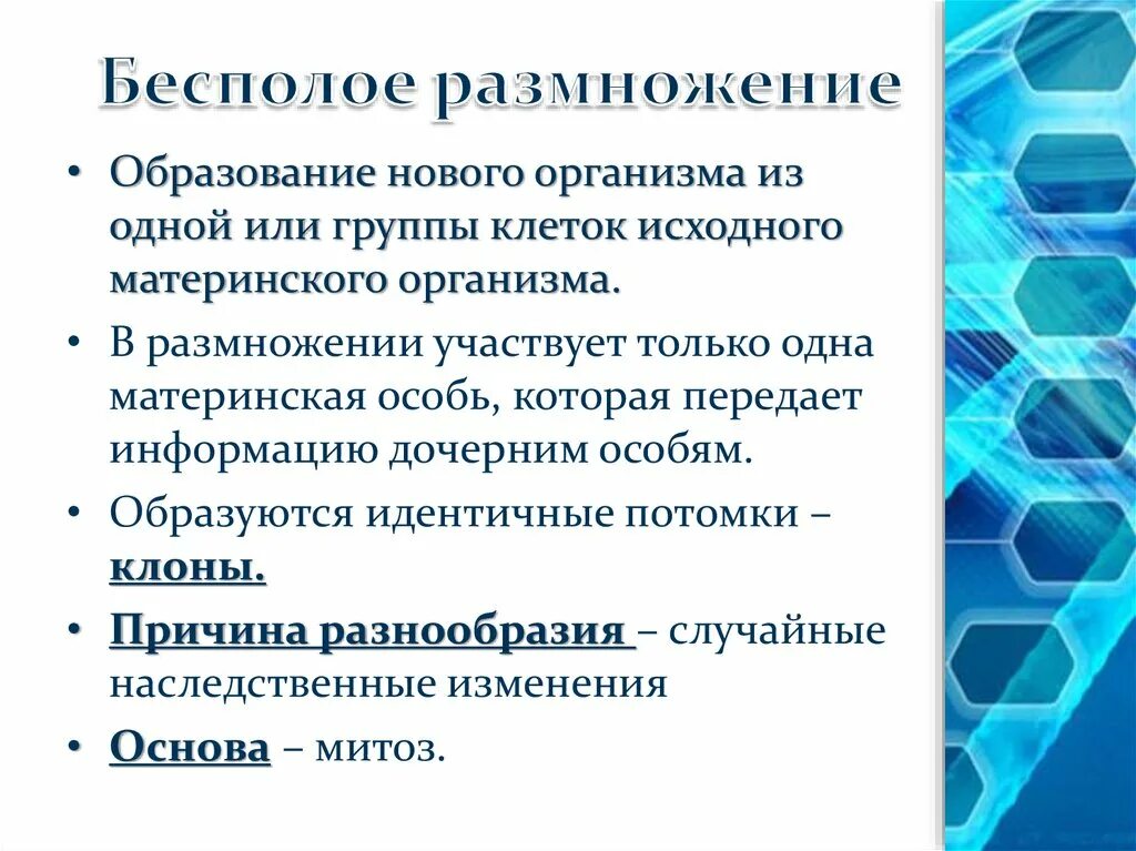 Новый организм образуется из группы клеток материнского организма. Бесполое размножение из одной и группы клеток. Формы размножения организмов материнский организм. Группа клеток исходного организма это.