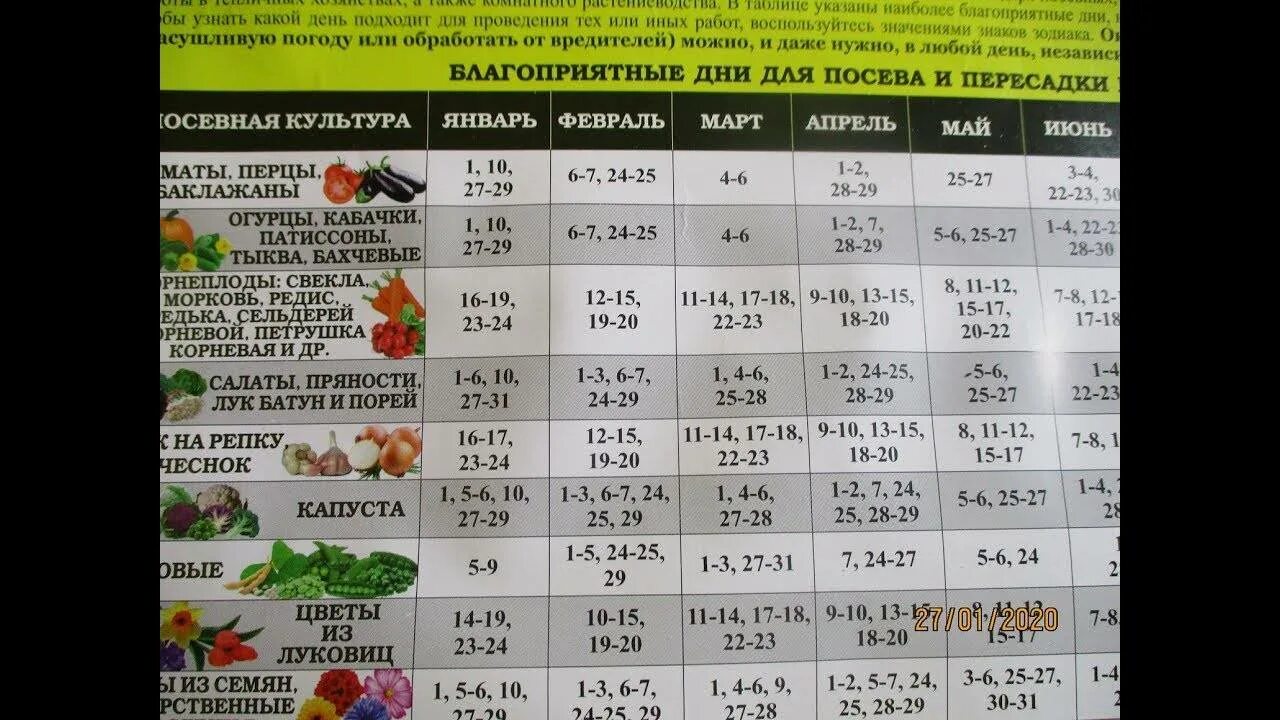 В какой день можно пересаживать перец. Календарь посадки рассады. Календарь посадки помидор. Благоприятные дни для высадки рассады томатов. Календарь посева семян на рассаду.