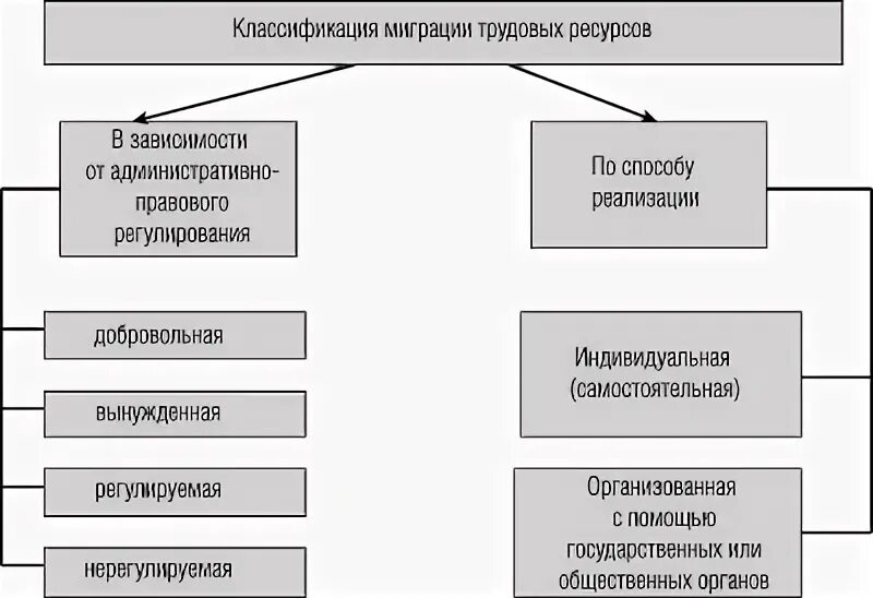 Формы международной миграции. Классификация трудовой миграции. Классификация видов миграции. Типы международной трудовой миграции. Классификация миграции рабочей силы.