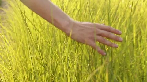 Touch grass