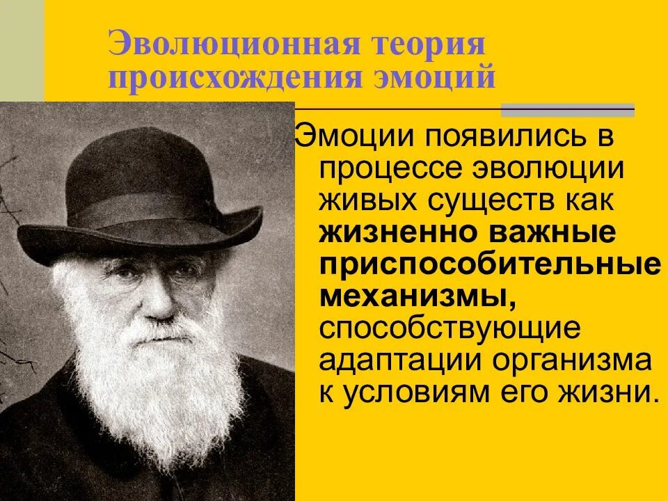 Дарвин выражение эмоций