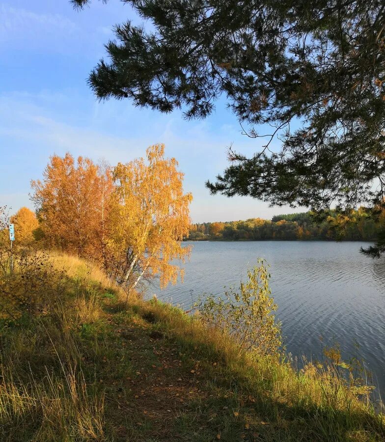 Парке пахнет хвойной тишиной. Лохин остров заповедник. Озеро глухая яма Лохин остров. Памятник природы Лохин остров. Лохин остров экотропа.