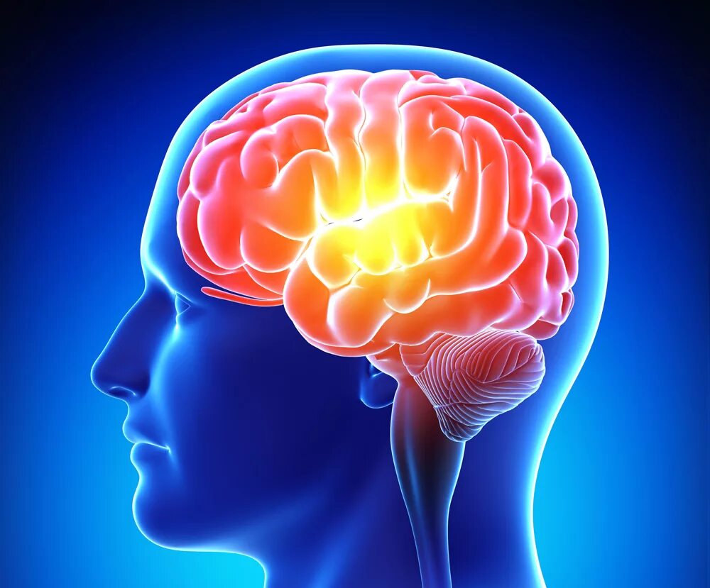 Мозг человека как улучшить работу. Мозговая активность. Память человека. Мозг память.