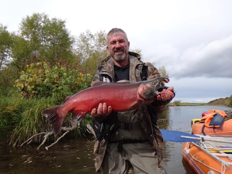 Кетов камчатка