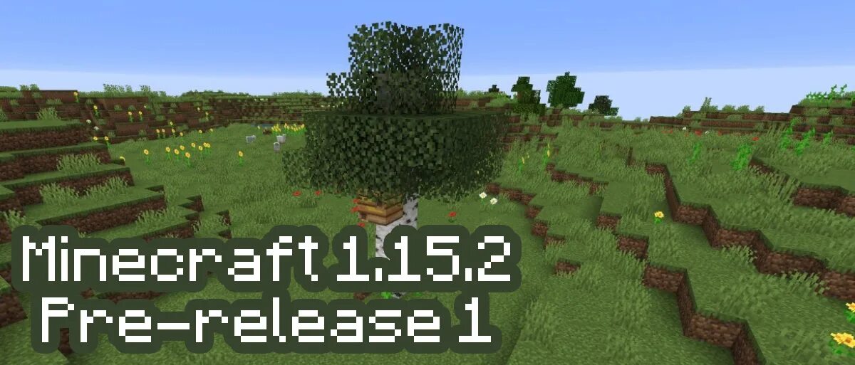 Minecraft net 15