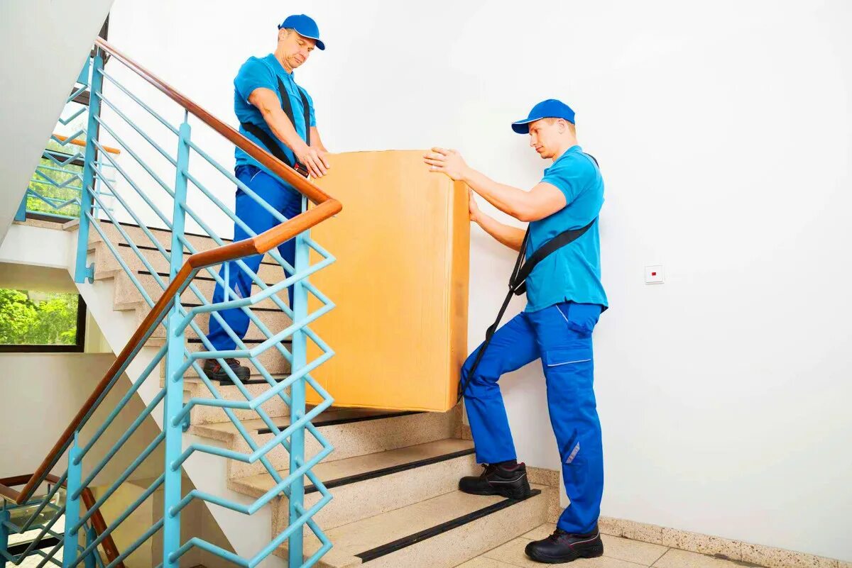 Выполню срочную работу