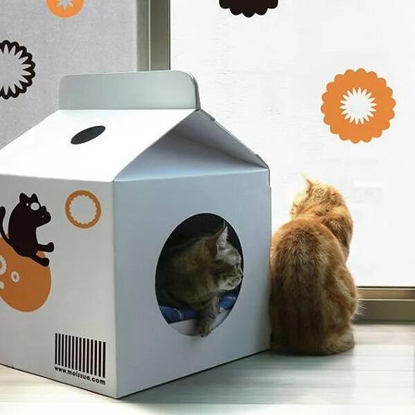 Кошачий домик из коробки. Домики из коробочек. Домик кота бумажный. Макет домика из картона. Картонный домик для кота.