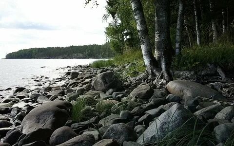 Водоемы севера