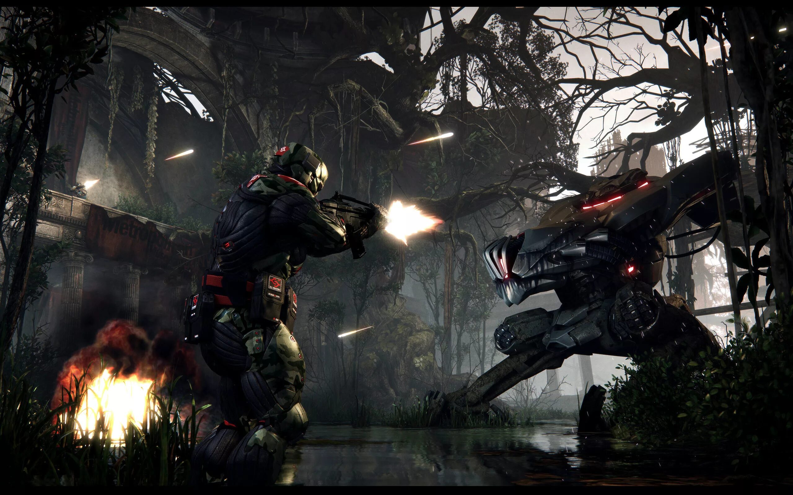 Крайзес 3. Игра крайсис 3. Crysis 3 (2013). Crysis 3 Hunter Edition.