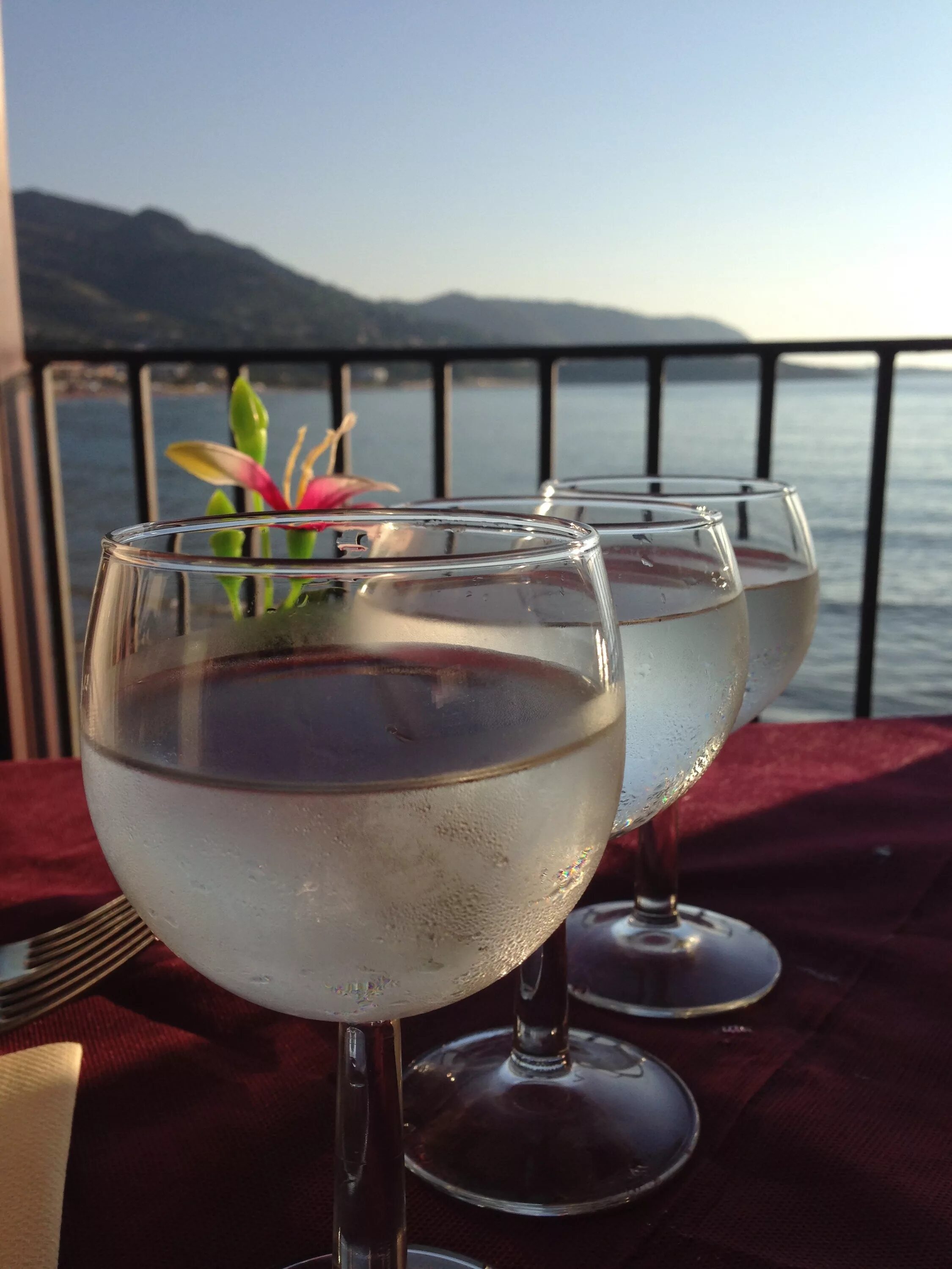 Море в бокале. Вино на море вечером. Вино и море. Бокал шампанского с видом на море. Вино и вода спб