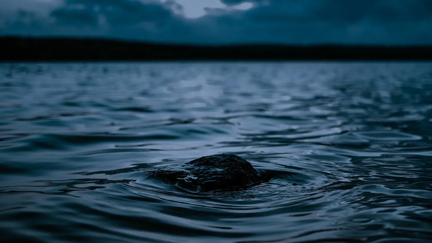 Тихи пруды холод и мрак вод их. Черная вода. Темные воды. Темные воды океана. Красивая вода.