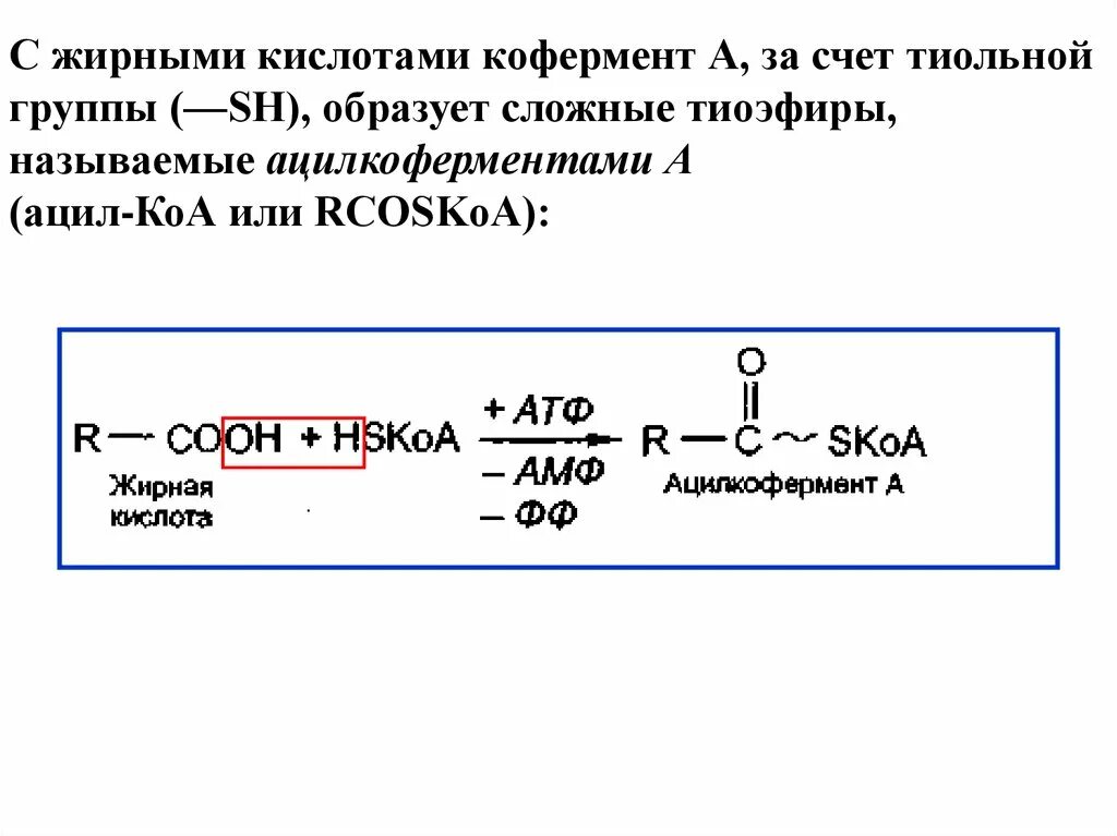 Какой элемент содержит тиольная группа