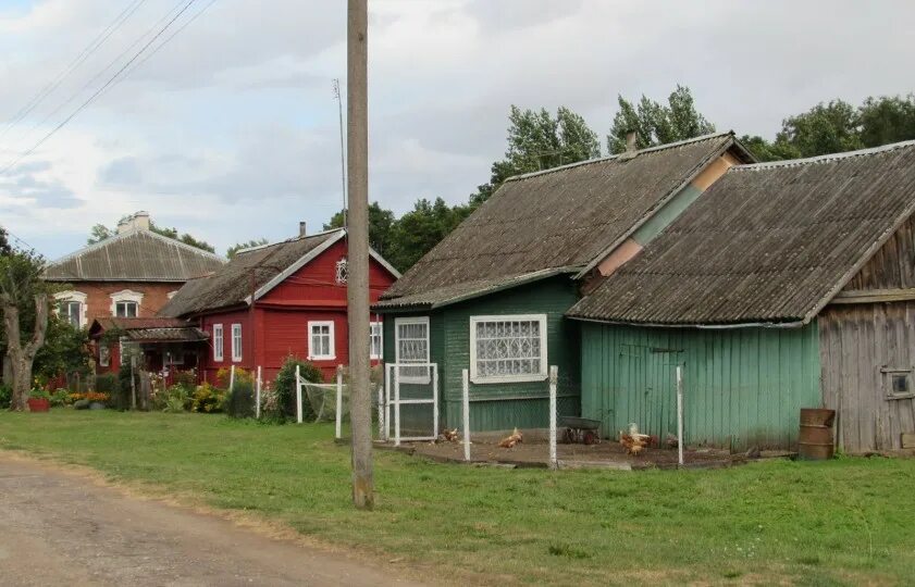 Деревня самолва псковская. Деревня низовицы.