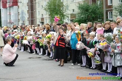 Сайт школ кингисеппа