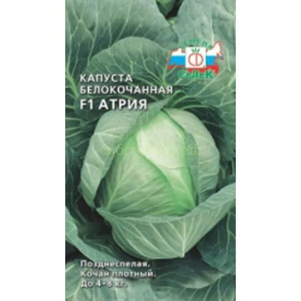 Капуста атрия описание сорта отзывы. Капуста белокочанная Атрия f1. Капуста БК Атрия СЕДЕК. Капуста Атрия f1 /Гавриш/ 10 шт. Капуста б/к Атрия f1 0,05гр/10.