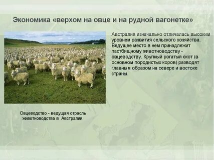 Какая отрасль хозяйства наиболее характерна для австралии