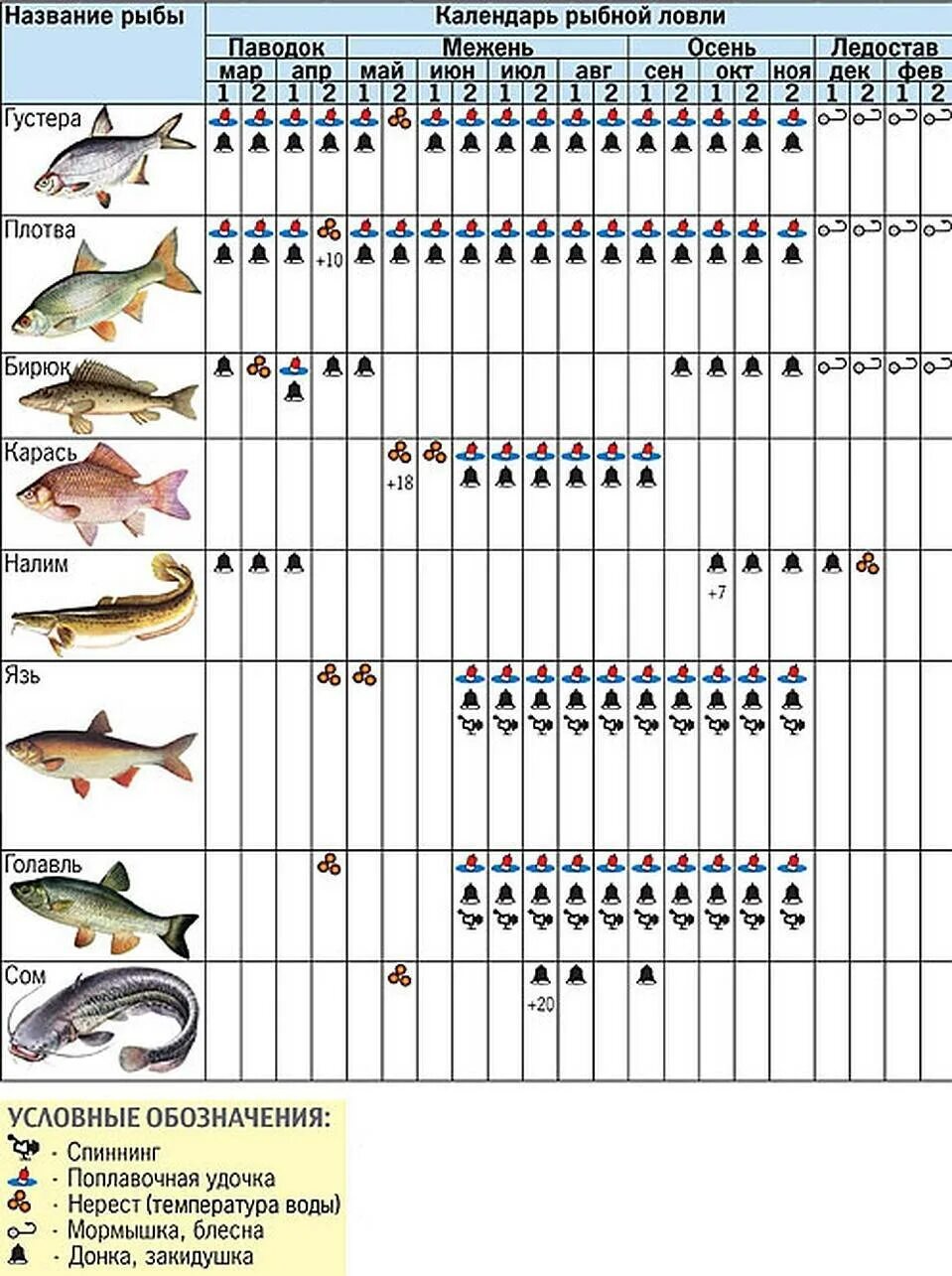Какие рыбы можно поймать. Календарь рыбалки. На что можно лов ть рыбу. Календарь рыболова. Календарь ловли рыбы.