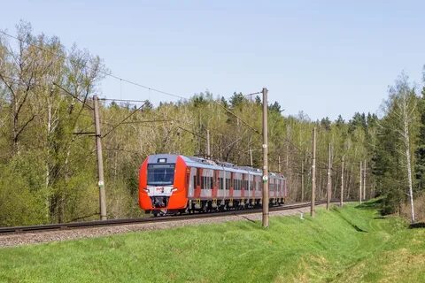 Электрички зеленый бор детская