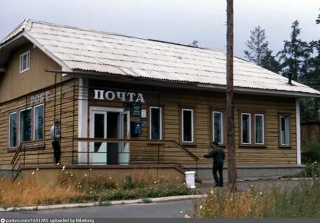 Южный падун