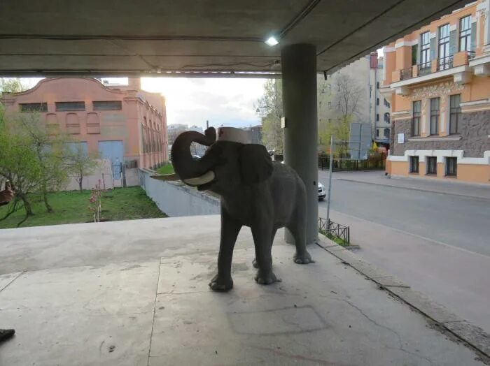 ру интернет магазин. докторслон ру интернет магазин каталог товаров. доктор слон интернет магазин. доктор слон. набережная карповки 13 доктор слон.