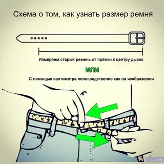 Размер поясных ремней