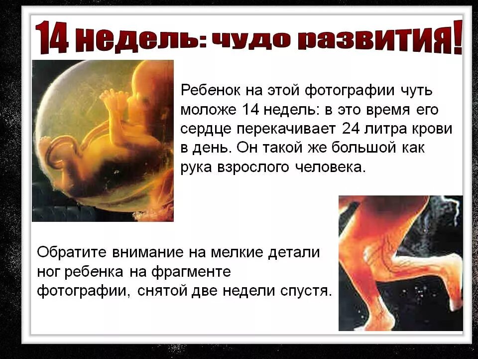 14 неделя ощущения