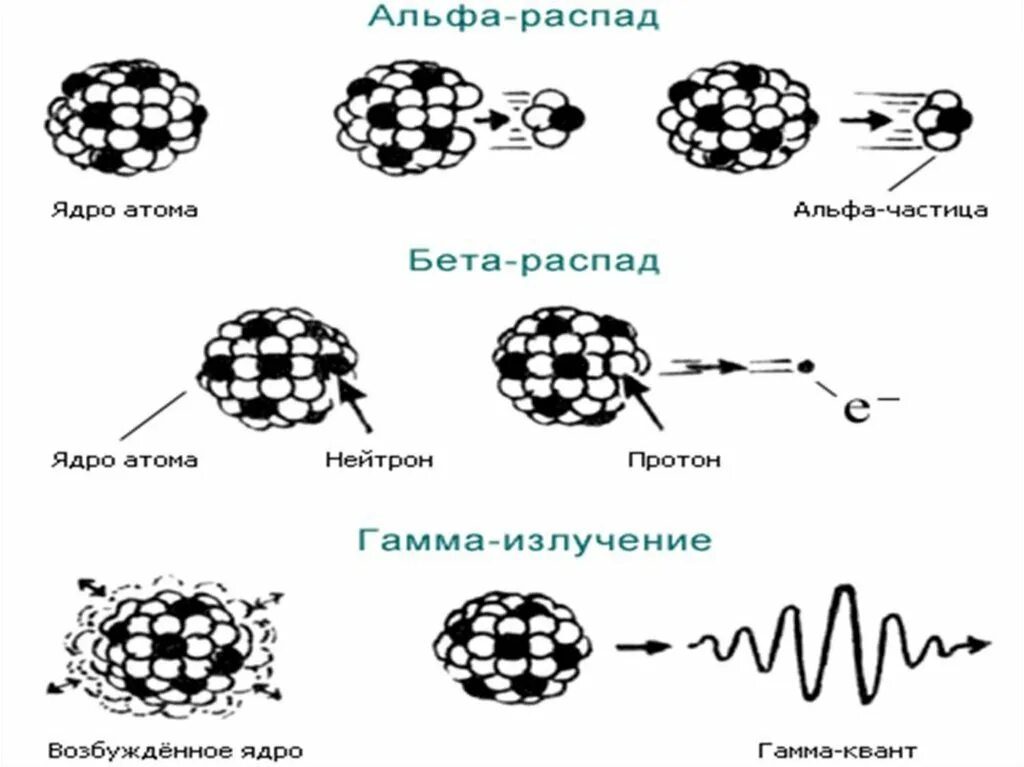 Распад атомных частиц. Схема распада бета частиц. Радиоактивный распад Альфа бета гамма. Альфа бета гамма распад физика. Альфа распад и бета распад гамма.