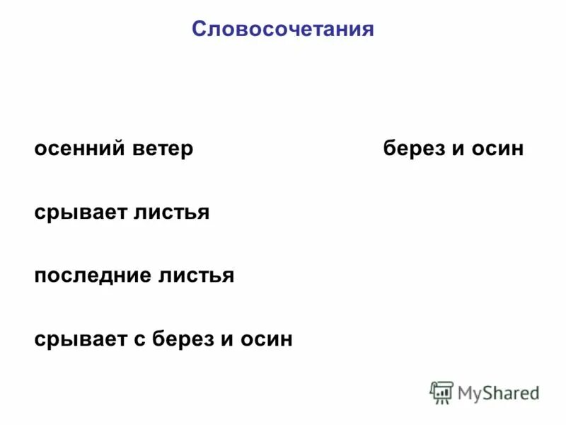 Текст ветер и береза