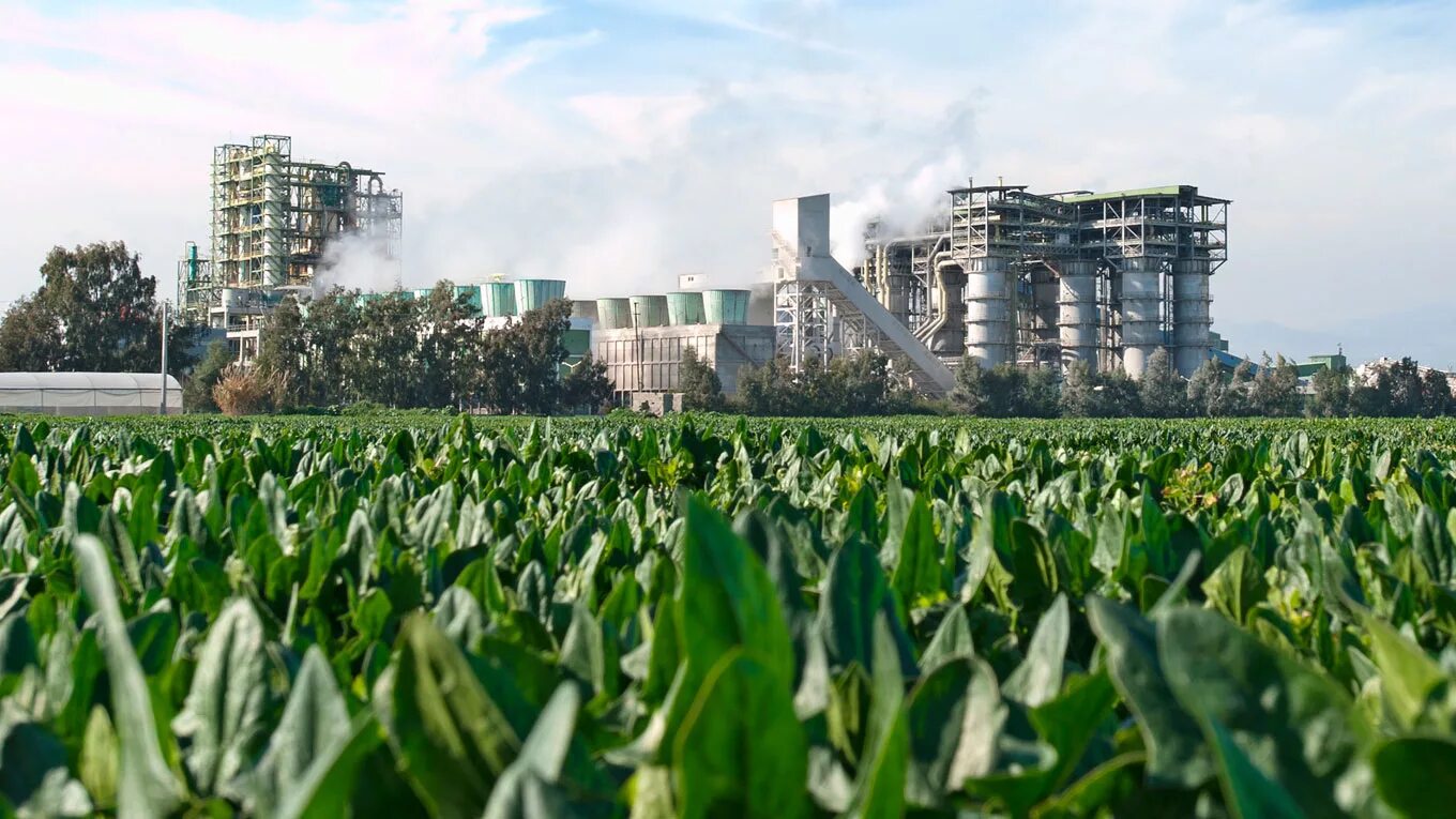 Хребет бангл австралия птицы. Закоулки нью йорка. Экологичное предприятие. Природа экология. Загрязнение окружающей среды сельским хозяйством.