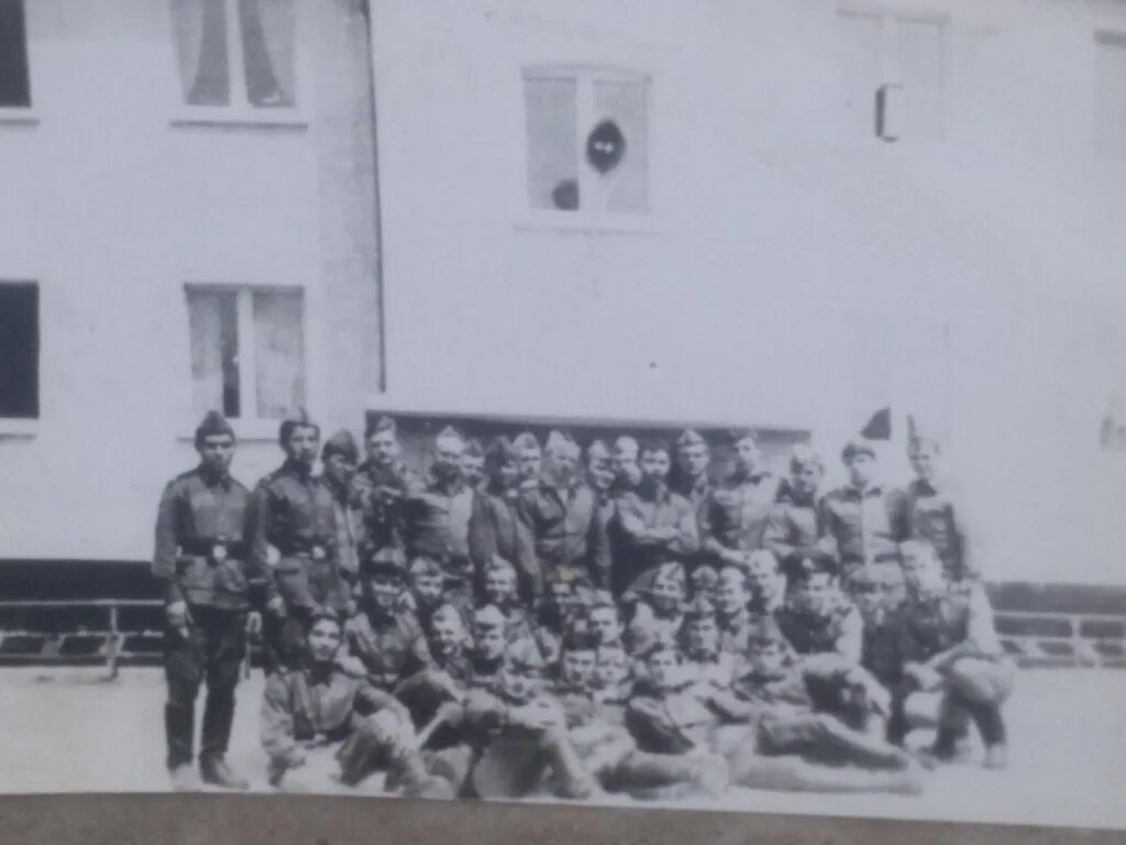 Гсвг 1981