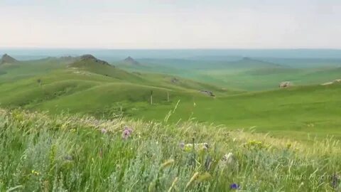 Даурия забайкальский край