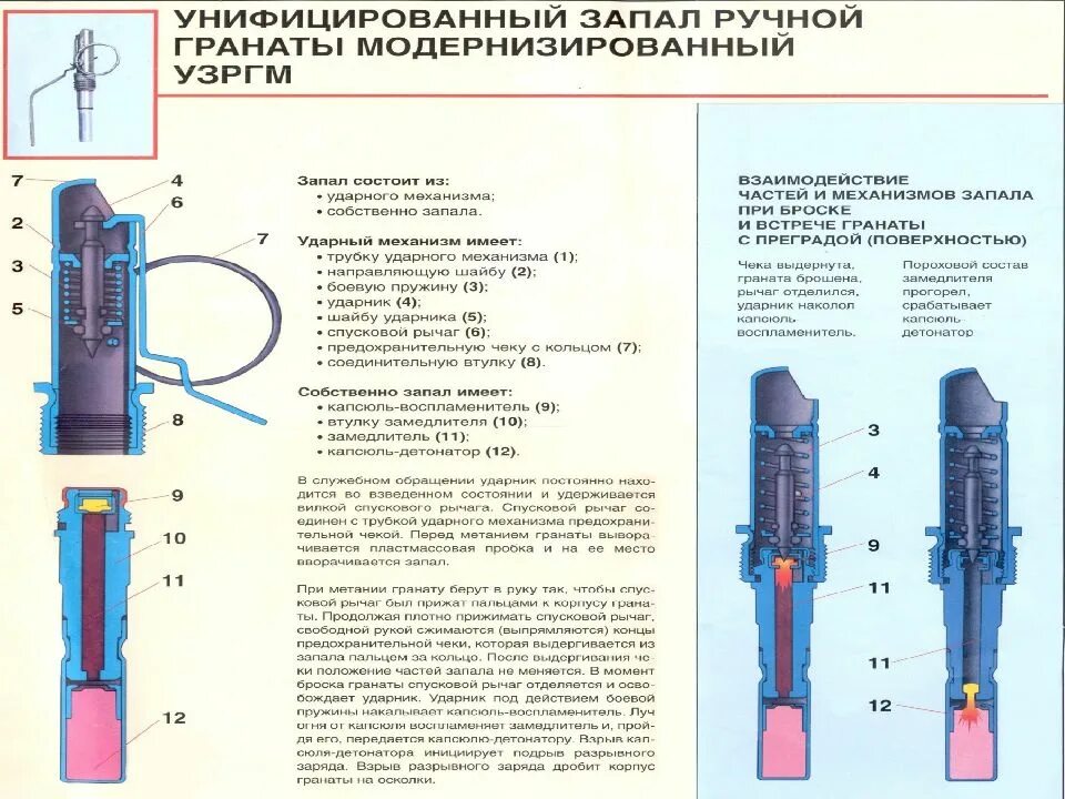 Чертеж запала узргм. Запал 38. Взрыватель ф1. Узргм 583. Ручная противотанковая граната кумулятивная.