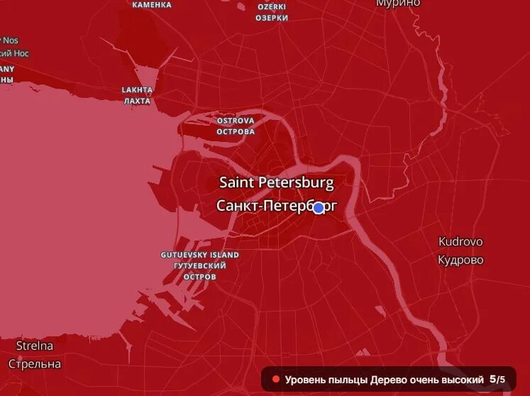 Уровень пыльцы в москве. Уровень пыльцы в Санкт-Петербурге. Уровень пыльцы в СПБ. Уровень пыльцы в Санкт-Петербурге 2023.