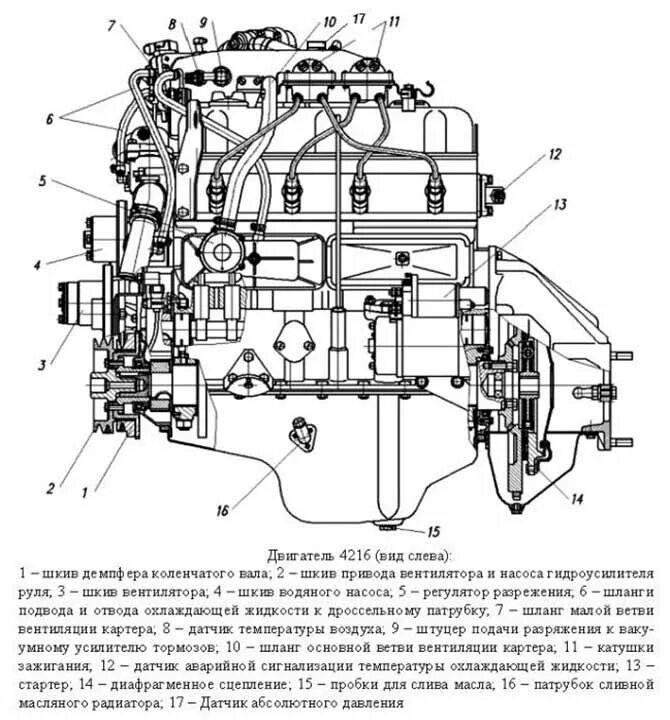 Умз 4216 характеристики. Двигатель УМЗ 4216 схема. Схема ДВС УМЗ 4216. ДВС УМЗ 4216 технические характеристики двигателя. Конструкция системы охлаждения двигателя УМЗ 4216.