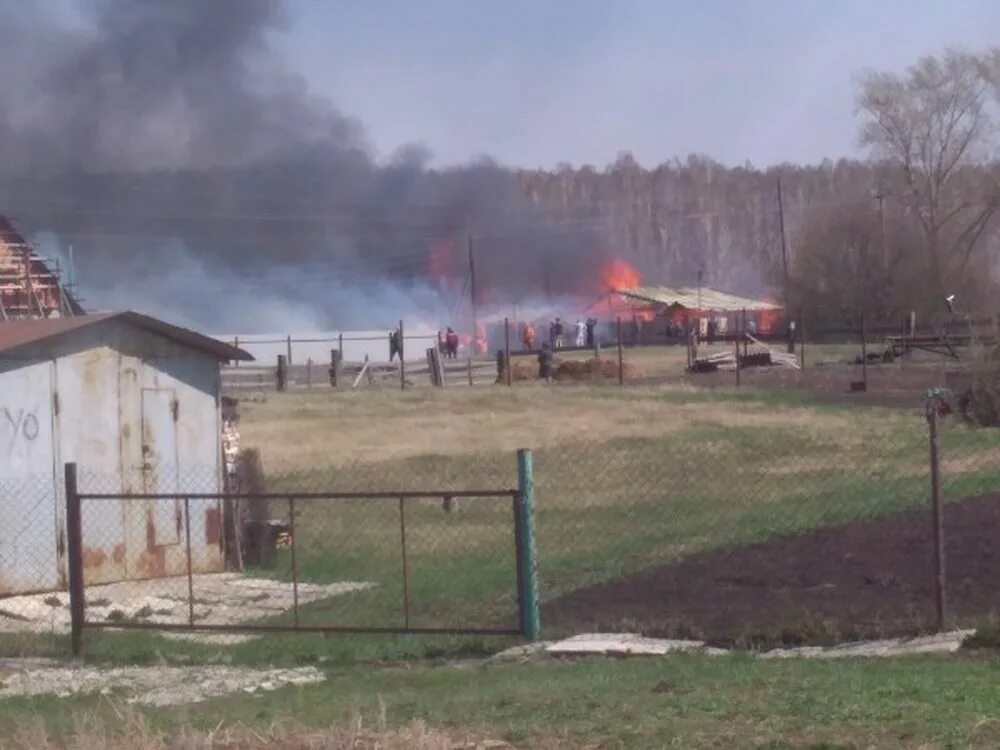 багаряк челябинская. ринат бикташев усть багаряк. погода в багаряке на две недели. погода в багаряке на две недели. погода в багаряке на две недели.