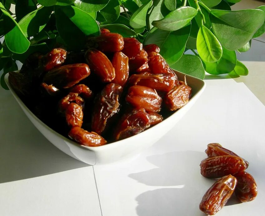 полезные свойства фиников. чем полезны финики сушеные. финики полезные. финики лечебные. полезные свойства фин ков.