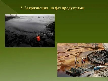 Самая высокая степень загрязнения нефтепродуктами приходится на