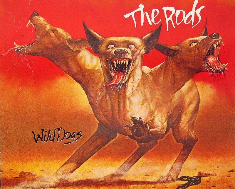 Животные. Wild dogs группа. The dogs are wild. W. Гиеновидная собака и гиена.