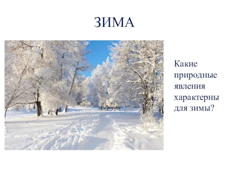 Кгб какой месяц зимы на картинке. Презентация зима. Зимние месяцы. Время года зима. Презентация зимние месяцы.