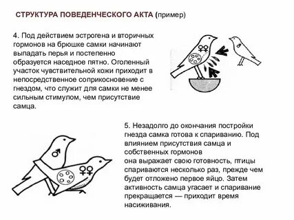 Поведенческие акты виды