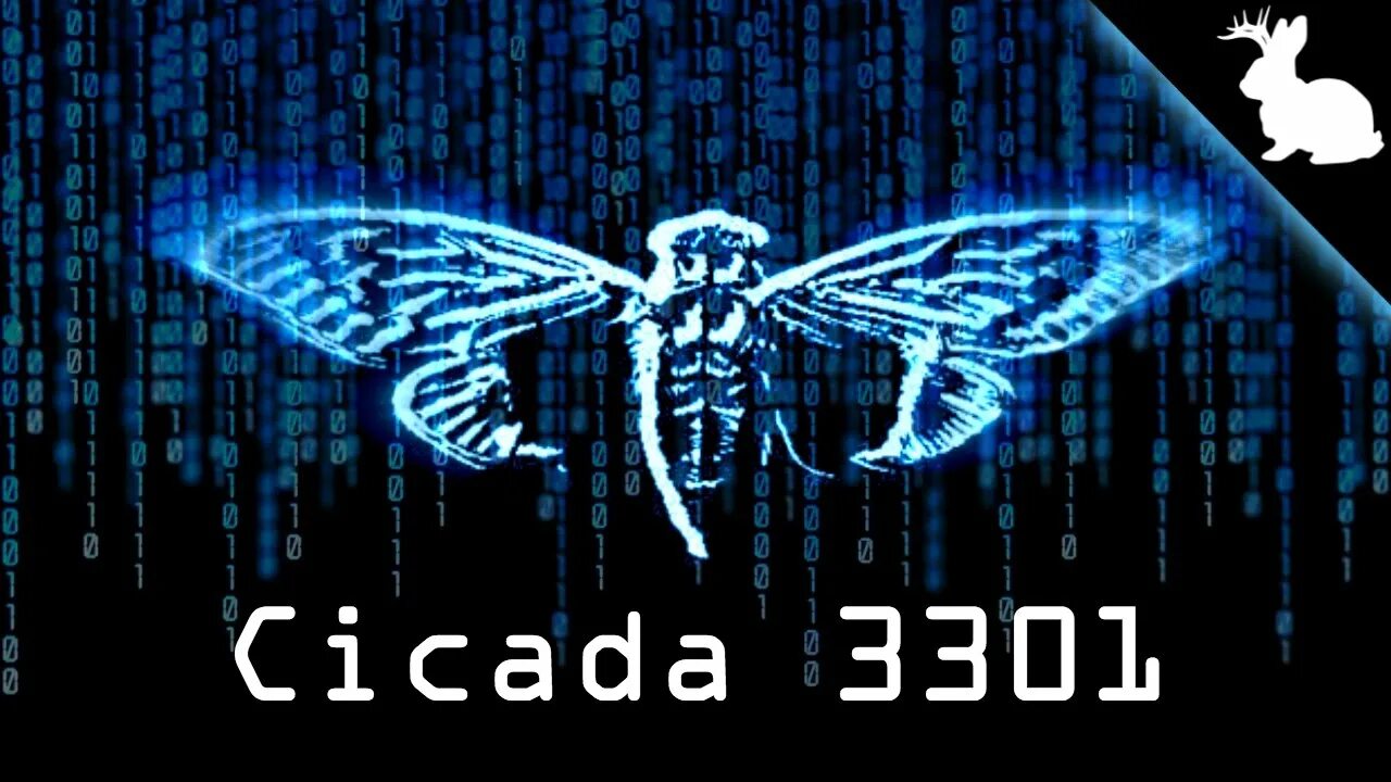Цикада 3301. Цикада 3301 картинка. Цикада 3031. Цикада 3301 оригинал. Цикада 3310.
