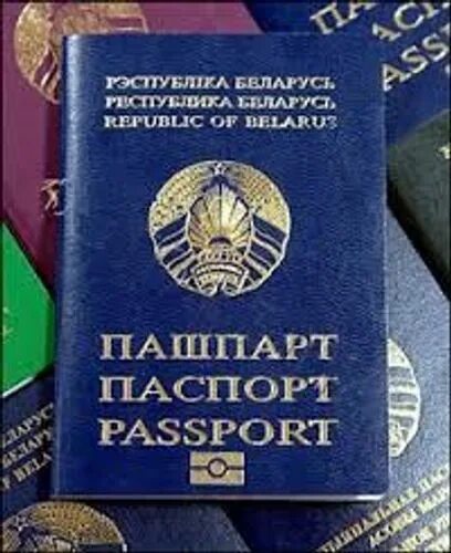 Новый паспорт рб как выглядит Тихановская решила добиваться международного признания паспортов "Новой Белорусс